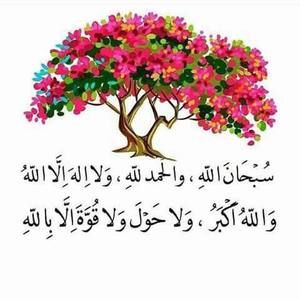 Meet your Posher, Safaa